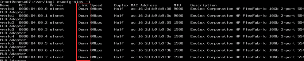 ESXi Nics